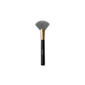 Fan Brush