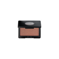 ARTIST HIGHLIGHTER