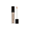 Conseal the Deal Lightweight Concealer