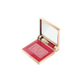 Eye2Cheek Eyeshadow and Blush