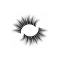 House of Lashes Iconic False Eyelashes
