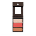 Theory I Blush, Bronzer & Highlighter Palette