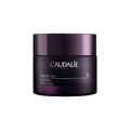Premier Cru Anti Aging Cream Moisturizer with Hyaluronic Acid
