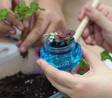 5 Things Every Zero Waste Newbie Should Know