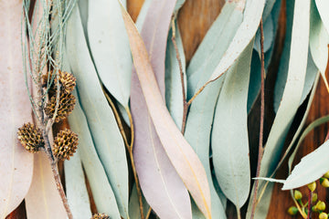 An Epic Love Story Between Nature & Science