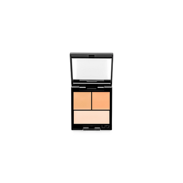 Perfectionniste Concealer Palette