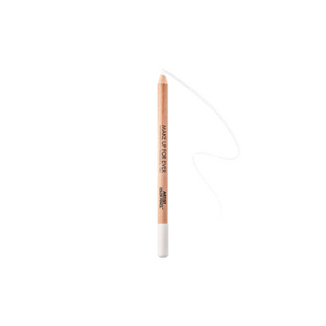ARTIST COLOR PENCIL