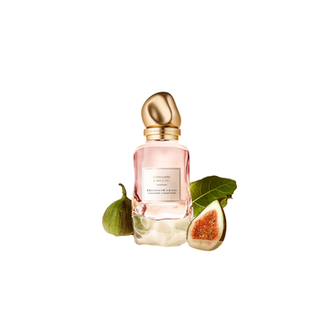CASHMERE & WILD FIG