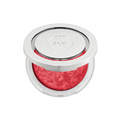 Skin-Perfecting Powder - pur - youfromme